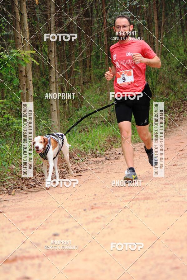 Acquista le foto dell'eventoKaluan� Trail e Canicross - Irisphoto in Fotop
