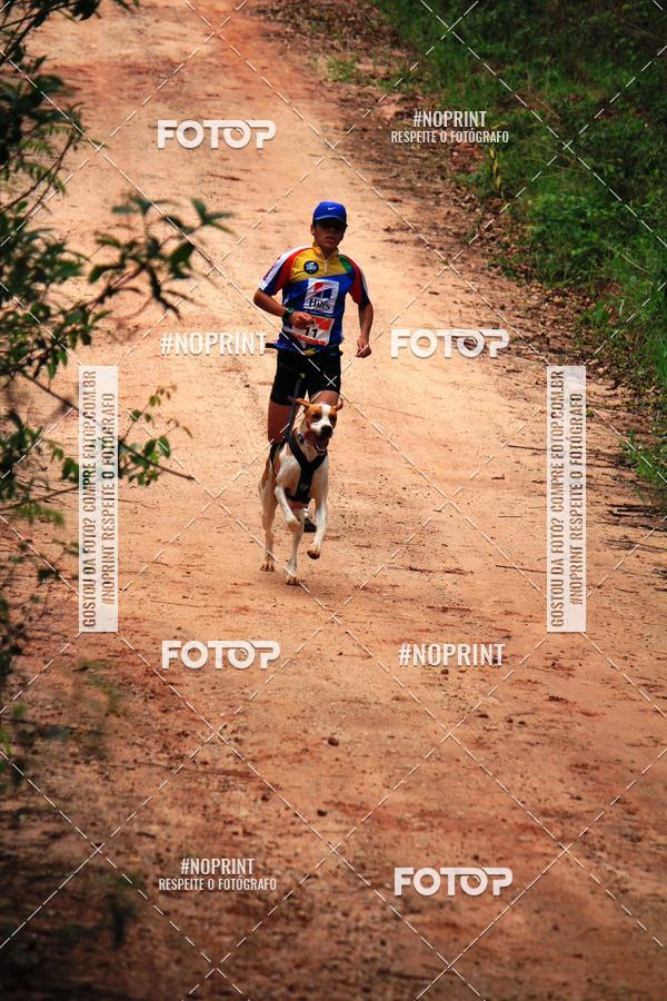 Compre as suas fotos do eventoKaluan� Trail e Canicross - Irisphoto no Fotop