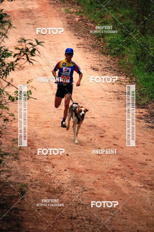 Compre as suas fotos do eventoKaluan� Trail e Canicross - Irisphoto no Fotop