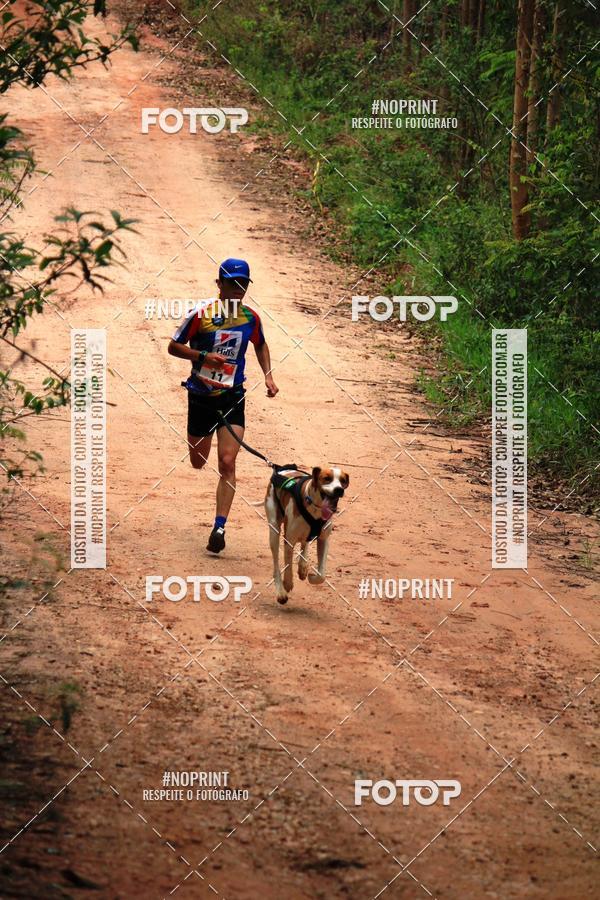 Compre as suas fotos do eventoKaluan� Trail e Canicross - Irisphoto no Fotop