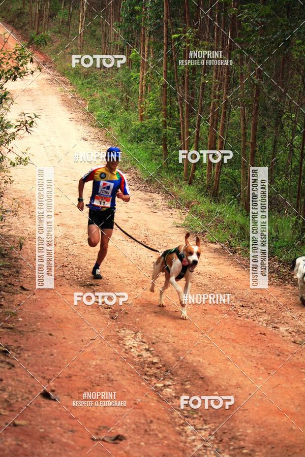 Compre as suas fotos do eventoKaluan� Trail e Canicross - Irisphoto no Fotop