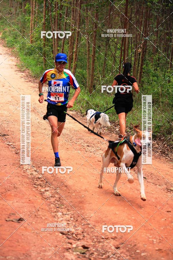 Compre as suas fotos do eventoKaluan� Trail e Canicross - Irisphoto no Fotop