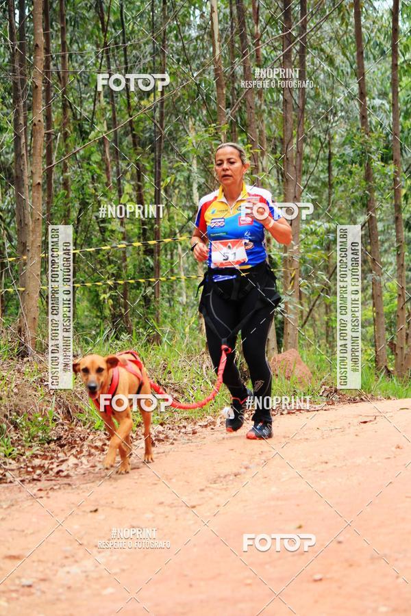 Buy your photos of the eventKaluan� Trail e Canicross - Irisphoto on Fotop