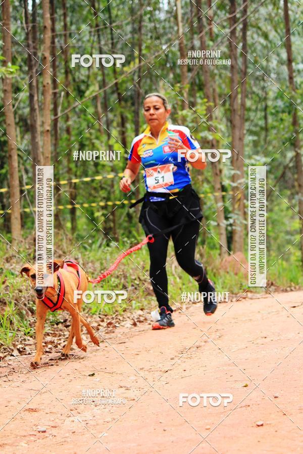 Buy your photos of the eventKaluan� Trail e Canicross - Irisphoto on Fotop