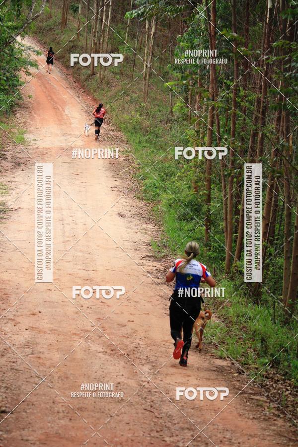 Buy your photos of the eventKaluan� Trail e Canicross - Irisphoto on Fotop