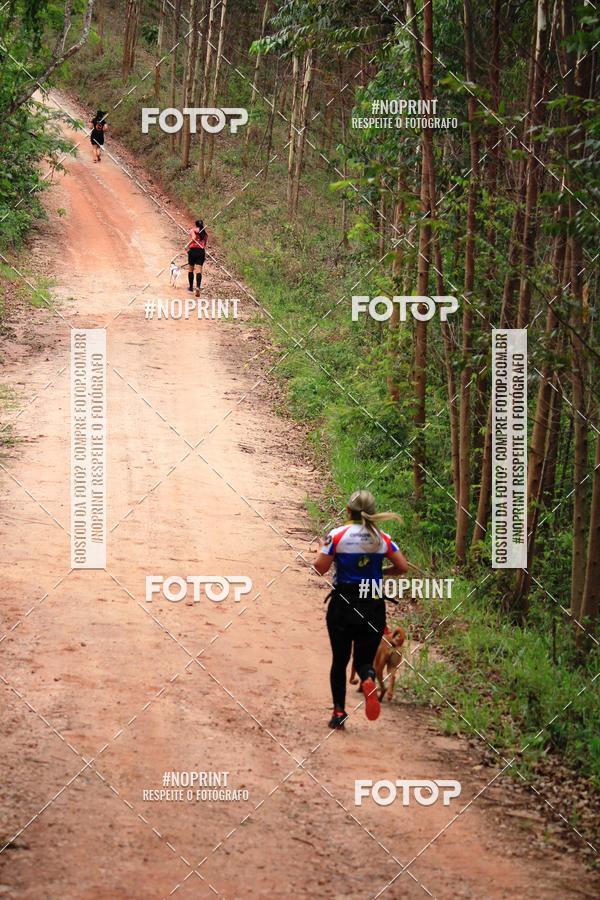 Buy your photos of the eventKaluan� Trail e Canicross - Irisphoto on Fotop