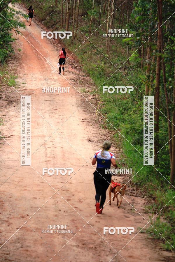 Buy your photos of the eventKaluan� Trail e Canicross - Irisphoto on Fotop