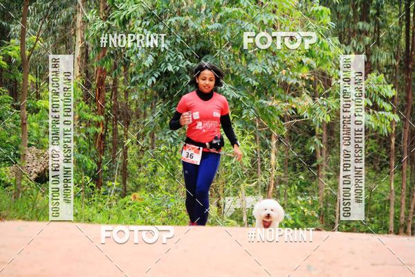 Buy your photos of the eventKaluan� Trail e Canicross - Irisphoto on Fotop