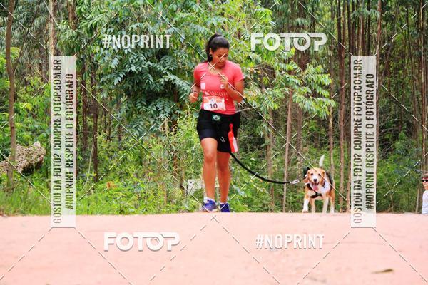 Buy your photos of the eventKaluan� Trail e Canicross - Irisphoto on Fotop