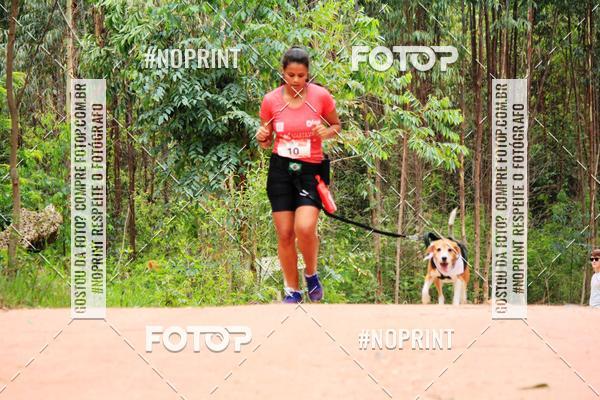 Buy your photos of the eventKaluan� Trail e Canicross - Irisphoto on Fotop