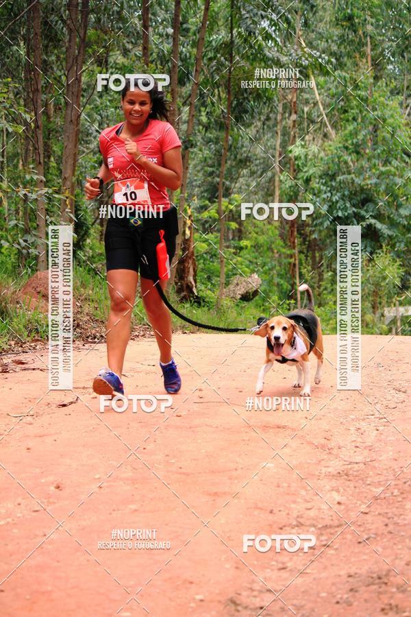 Buy your photos of the eventKaluan� Trail e Canicross - Irisphoto on Fotop