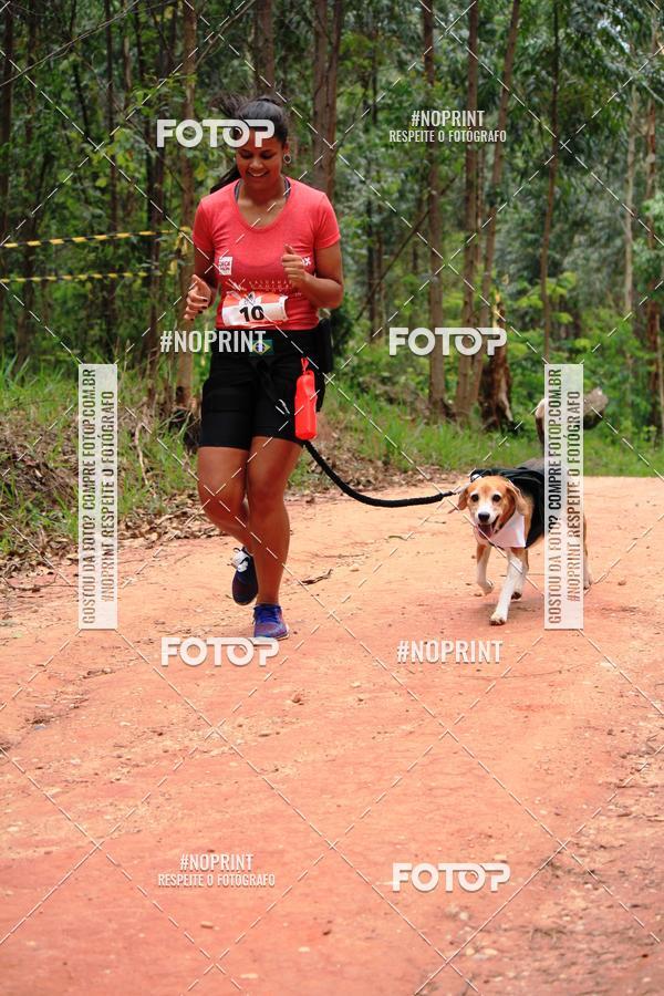 Buy your photos of the eventKaluan� Trail e Canicross - Irisphoto on Fotop