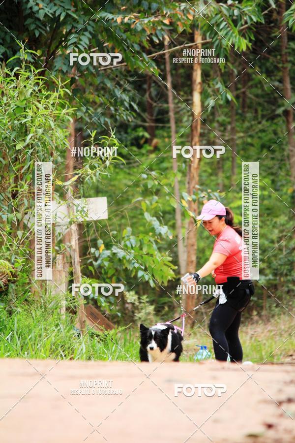 Buy your photos of the eventKaluan� Trail e Canicross - Irisphoto on Fotop