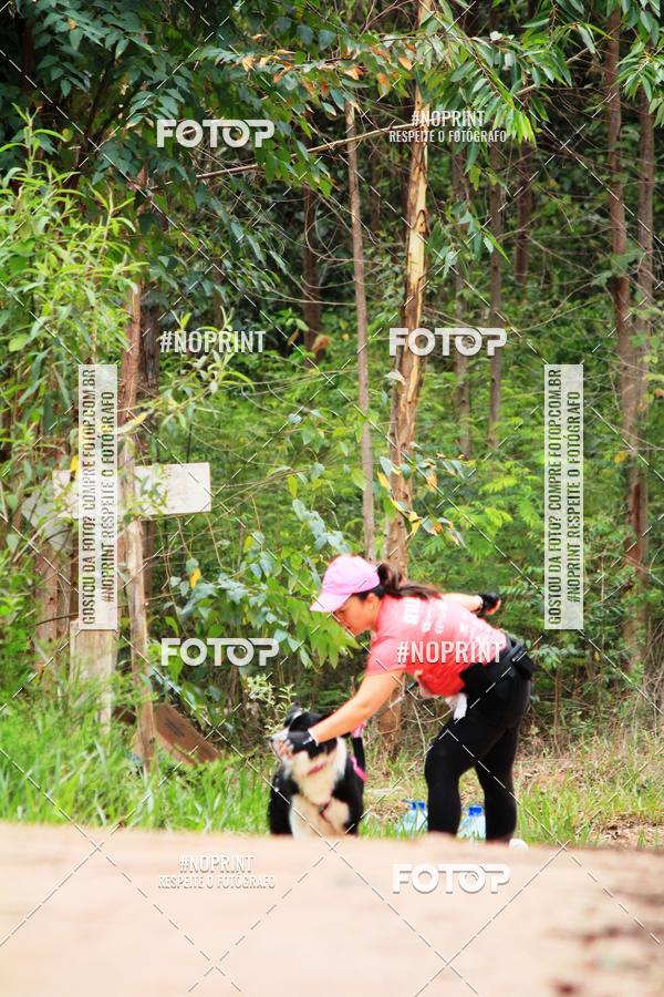 Buy your photos of the eventKaluan� Trail e Canicross - Irisphoto on Fotop