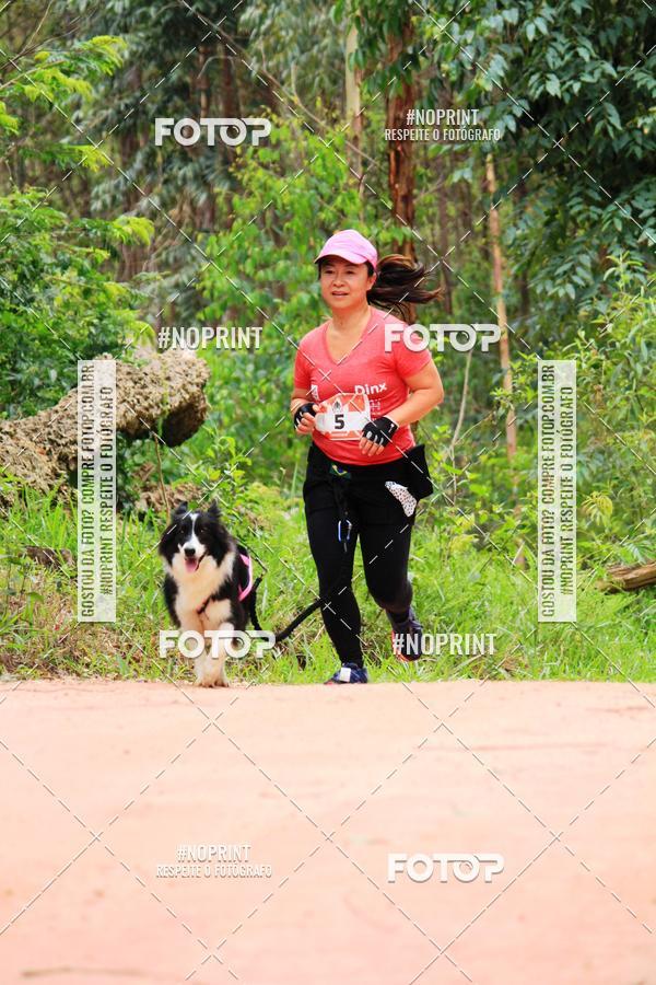 Buy your photos of the eventKaluan� Trail e Canicross - Irisphoto on Fotop