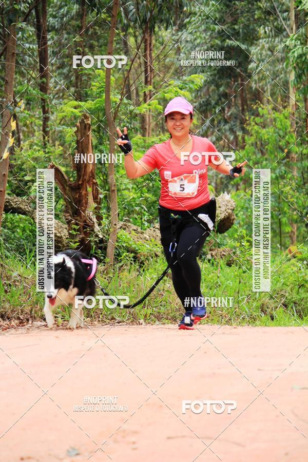 Buy your photos of the eventKaluan� Trail e Canicross - Irisphoto on Fotop