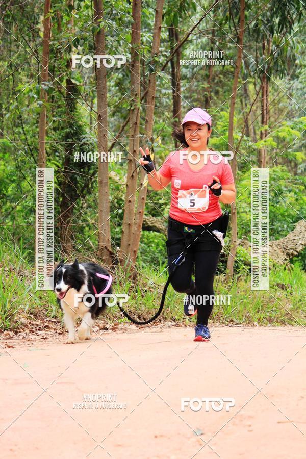 Buy your photos of the eventKaluan� Trail e Canicross - Irisphoto on Fotop