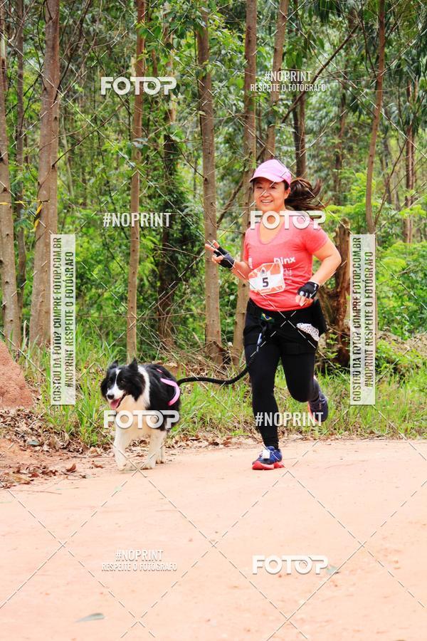 Buy your photos of the eventKaluan� Trail e Canicross - Irisphoto on Fotop