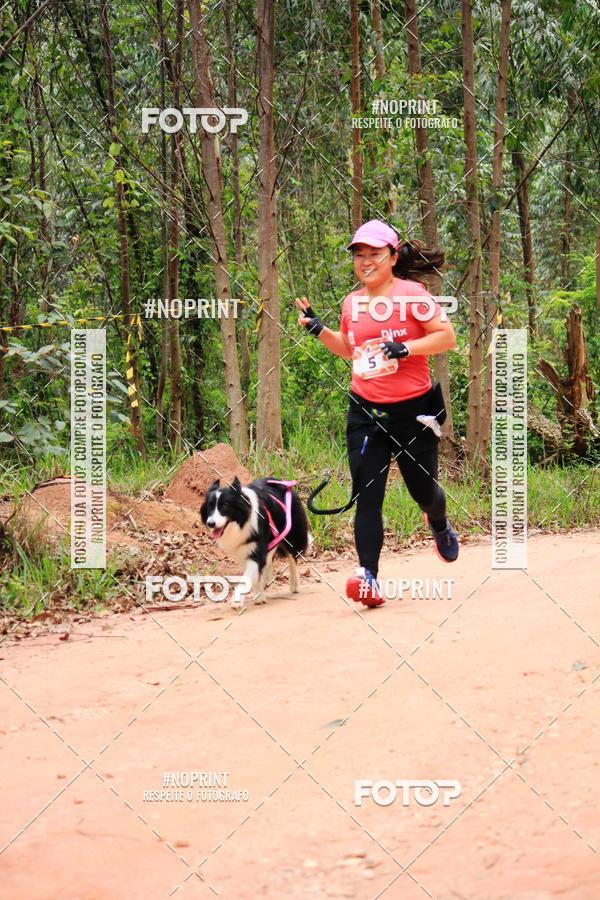 Buy your photos of the eventKaluan� Trail e Canicross - Irisphoto on Fotop