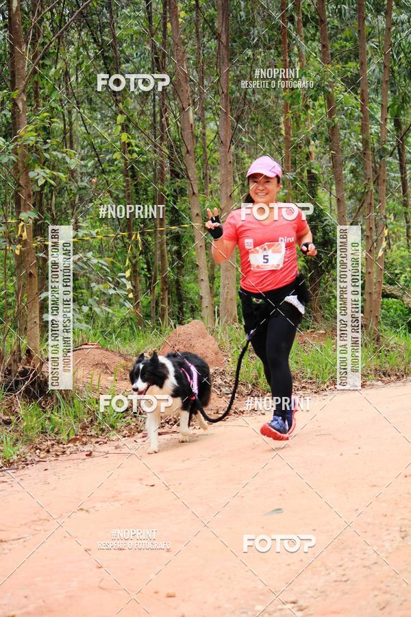 Buy your photos of the eventKaluan� Trail e Canicross - Irisphoto on Fotop