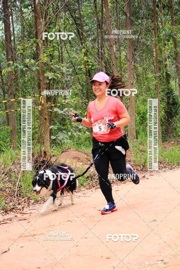 Buy your photos of the eventKaluan� Trail e Canicross - Irisphoto on Fotop