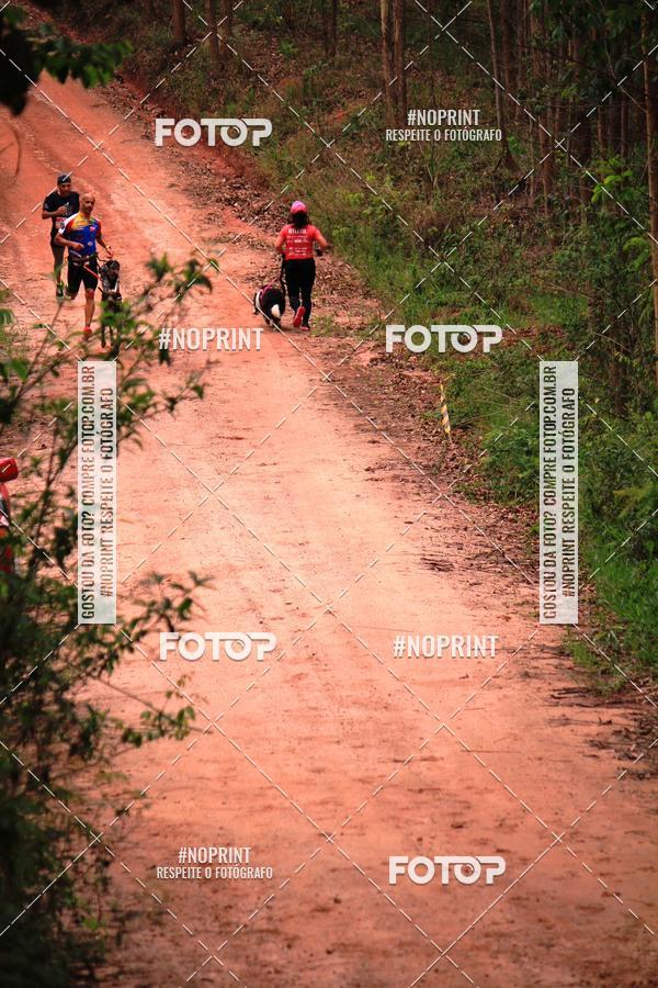 Buy your photos of the eventKaluan� Trail e Canicross - Irisphoto on Fotop