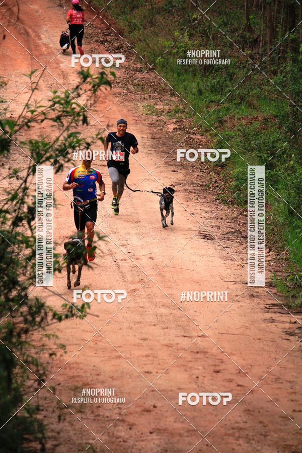 Buy your photos of the eventKaluan� Trail e Canicross - Irisphoto on Fotop