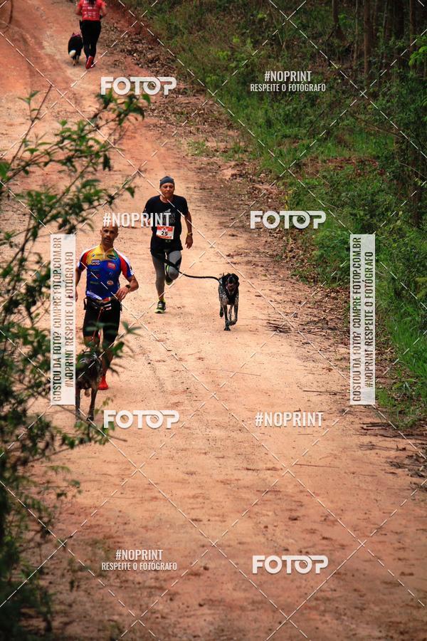 Buy your photos of the eventKaluan� Trail e Canicross - Irisphoto on Fotop