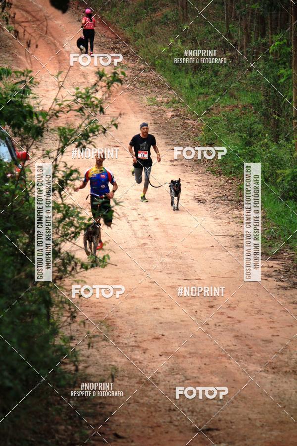 Compra tus fotos del eventoKaluan� Trail e Canicross - Irisphoto En Fotop