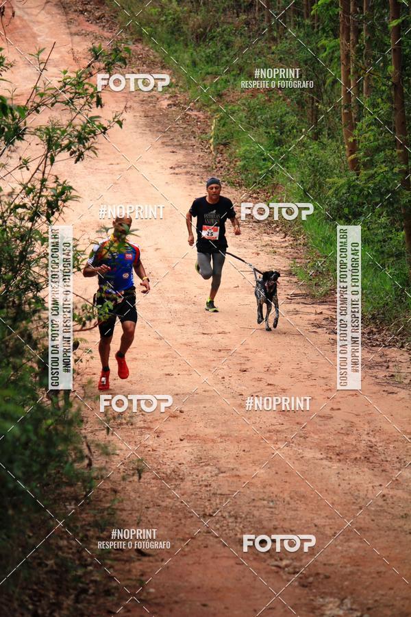 Compra tus fotos del eventoKaluan� Trail e Canicross - Irisphoto En Fotop