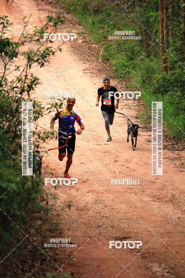 Compra tus fotos del eventoKaluan� Trail e Canicross - Irisphoto En Fotop