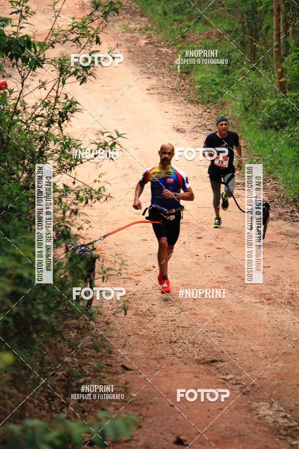 Compra tus fotos del eventoKaluan� Trail e Canicross - Irisphoto En Fotop