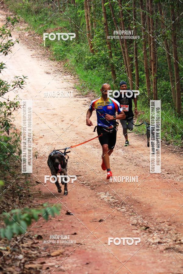 Compra tus fotos del eventoKaluan� Trail e Canicross - Irisphoto En Fotop