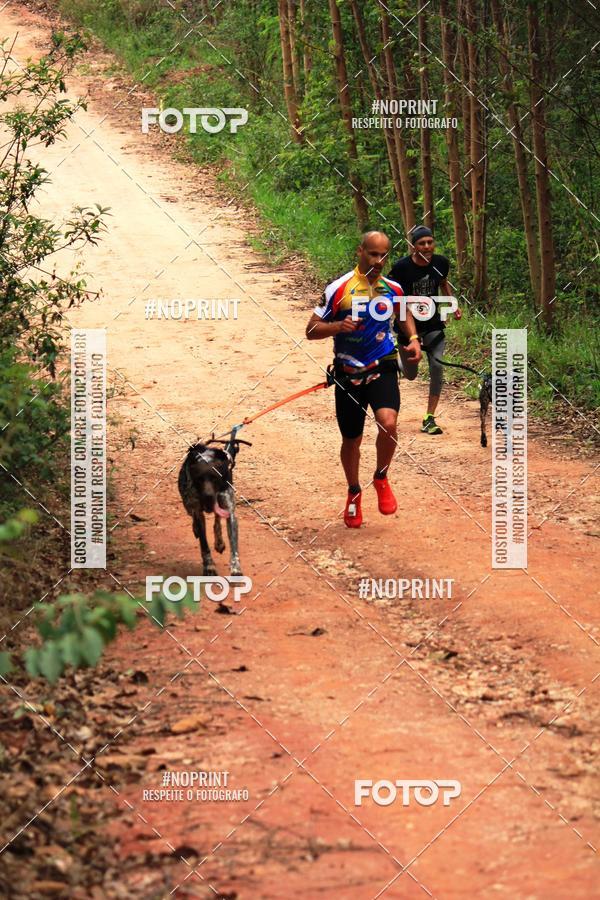 Compra tus fotos del eventoKaluan� Trail e Canicross - Irisphoto En Fotop
