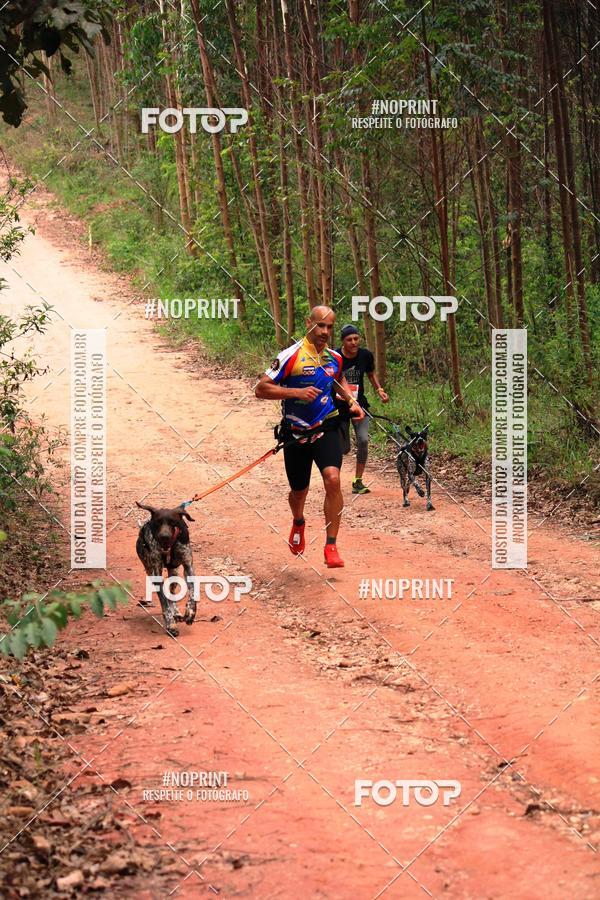 Compra tus fotos del eventoKaluan� Trail e Canicross - Irisphoto En Fotop