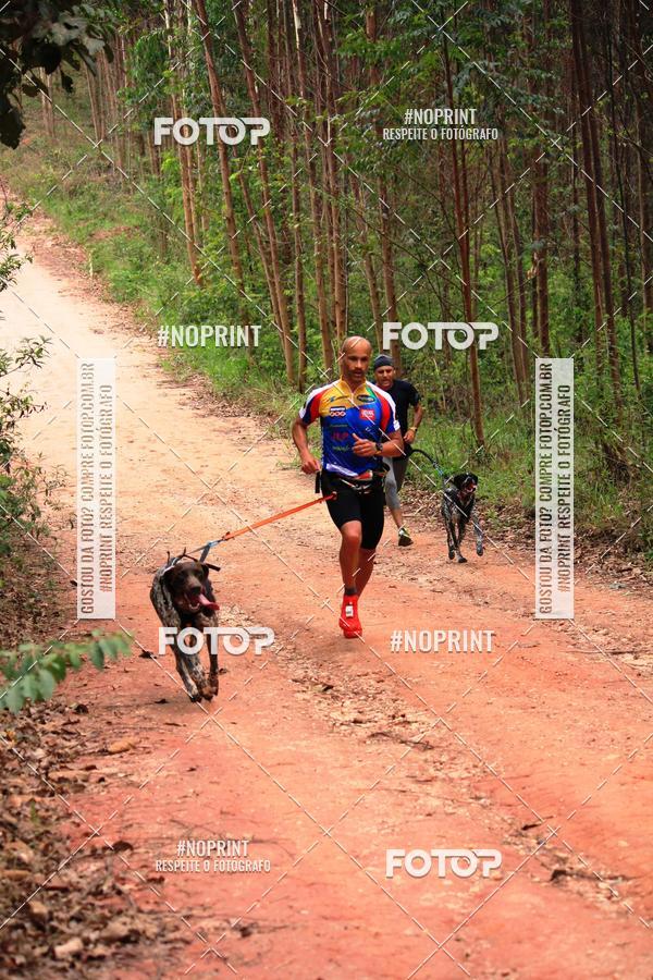 Compra tus fotos del eventoKaluan� Trail e Canicross - Irisphoto En Fotop