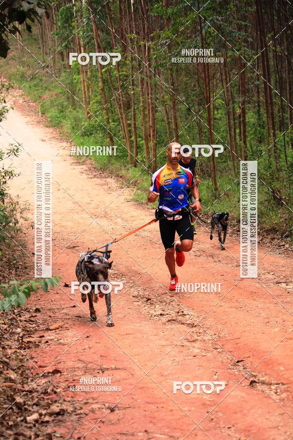Compra tus fotos del eventoKaluan� Trail e Canicross - Irisphoto En Fotop