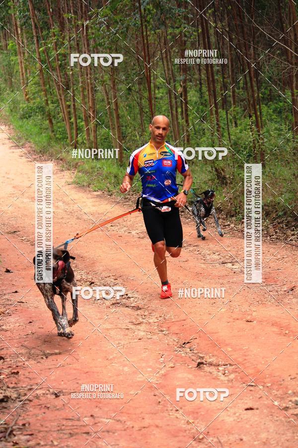 Compra tus fotos del eventoKaluan� Trail e Canicross - Irisphoto En Fotop