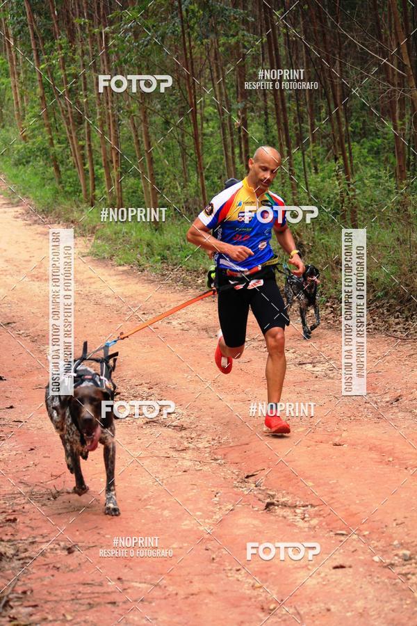 Compra tus fotos del eventoKaluan� Trail e Canicross - Irisphoto En Fotop