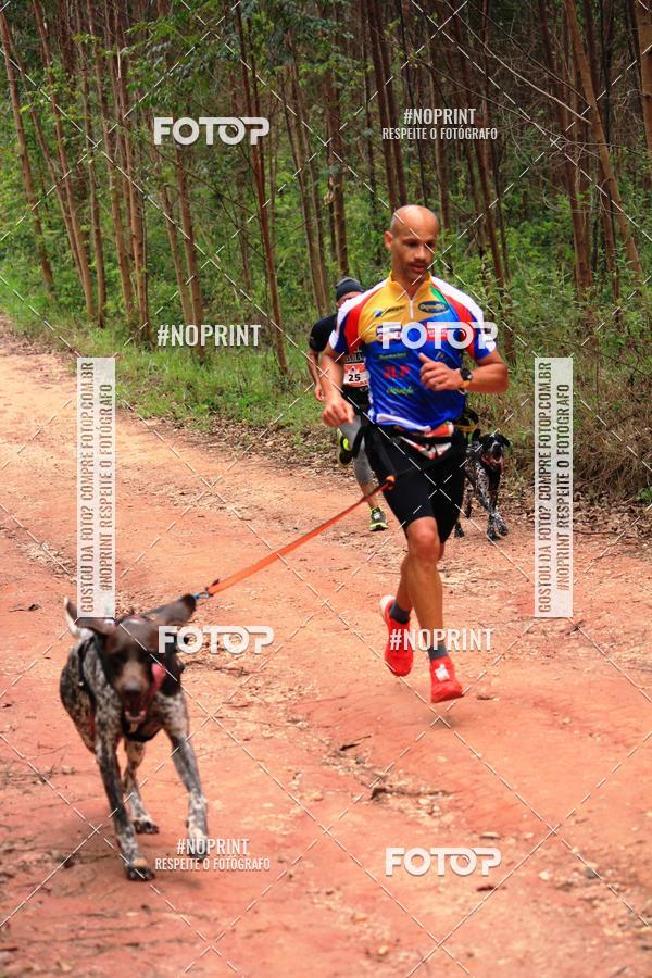 Compra tus fotos del eventoKaluan� Trail e Canicross - Irisphoto En Fotop