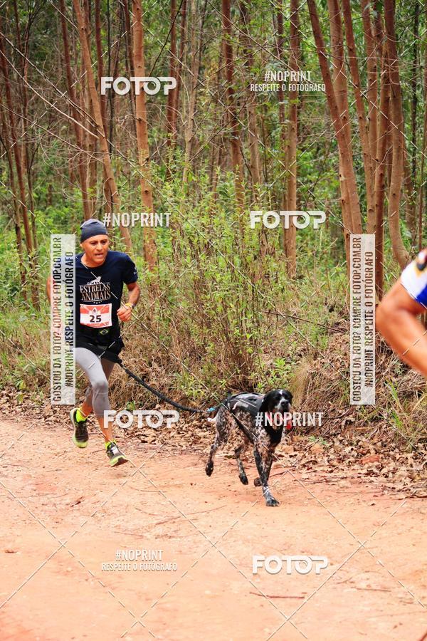 Compra tus fotos del eventoKaluan� Trail e Canicross - Irisphoto En Fotop