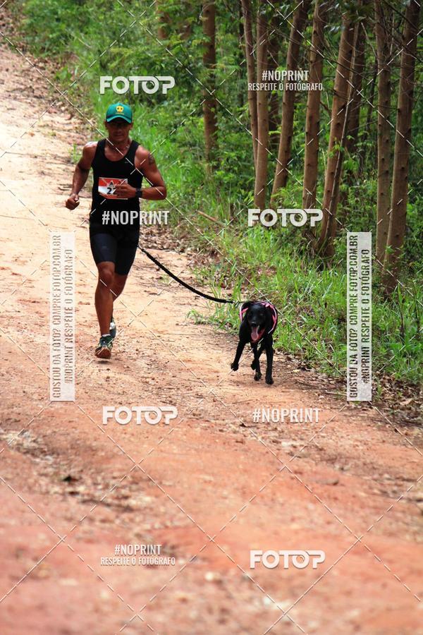 Compra tus fotos del eventoKaluan� Trail e Canicross - Irisphoto En Fotop