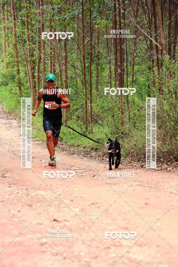Compra tus fotos del eventoKaluan� Trail e Canicross - Irisphoto En Fotop