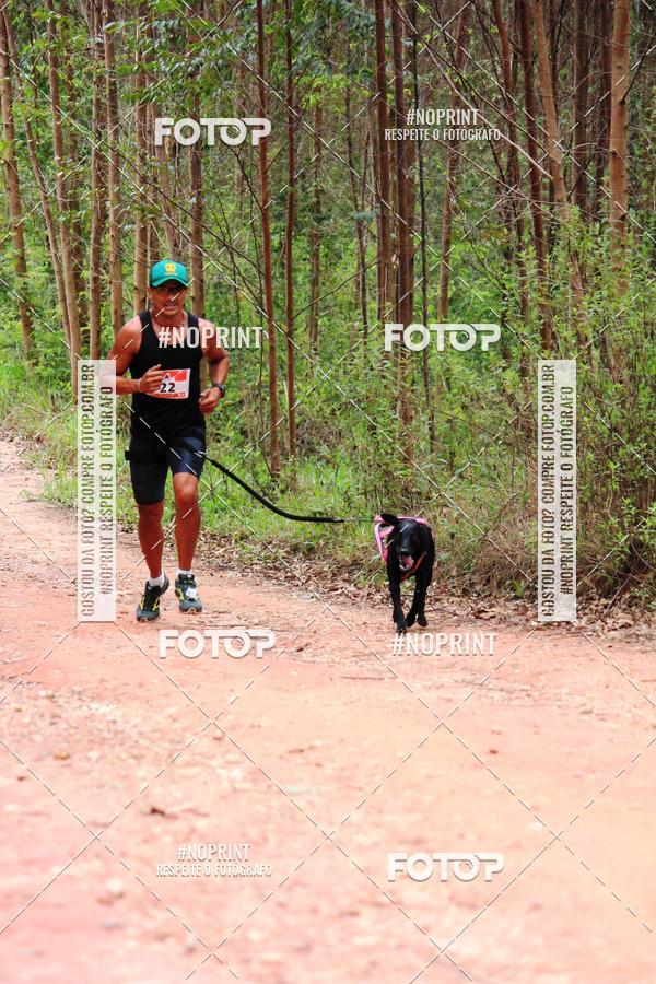 Compra tus fotos del eventoKaluan� Trail e Canicross - Irisphoto En Fotop