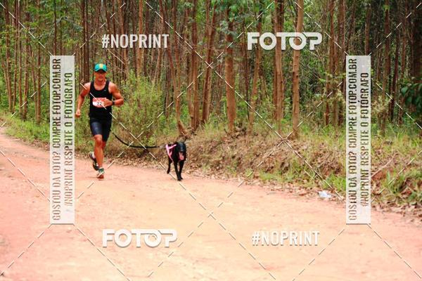 Compra tus fotos del eventoKaluan� Trail e Canicross - Irisphoto En Fotop