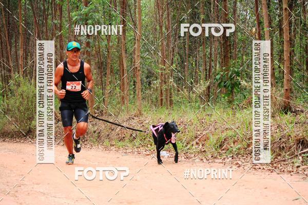 Compra tus fotos del eventoKaluan� Trail e Canicross - Irisphoto En Fotop