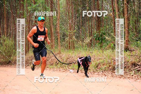 Compra tus fotos del eventoKaluan� Trail e Canicross - Irisphoto En Fotop