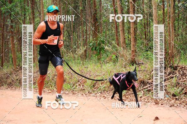 Compra tus fotos del eventoKaluan� Trail e Canicross - Irisphoto En Fotop