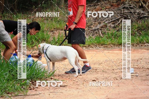 Buy your photos of the eventKaluan� Trail e Canicross - Irisphoto on Fotop