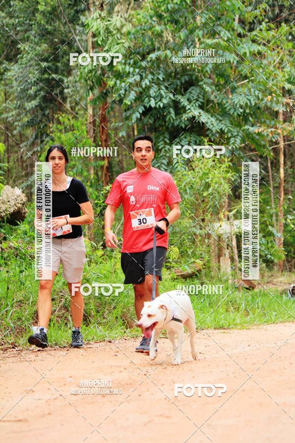 Buy your photos of the eventKaluan� Trail e Canicross - Irisphoto on Fotop